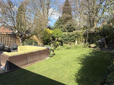 Picture 19